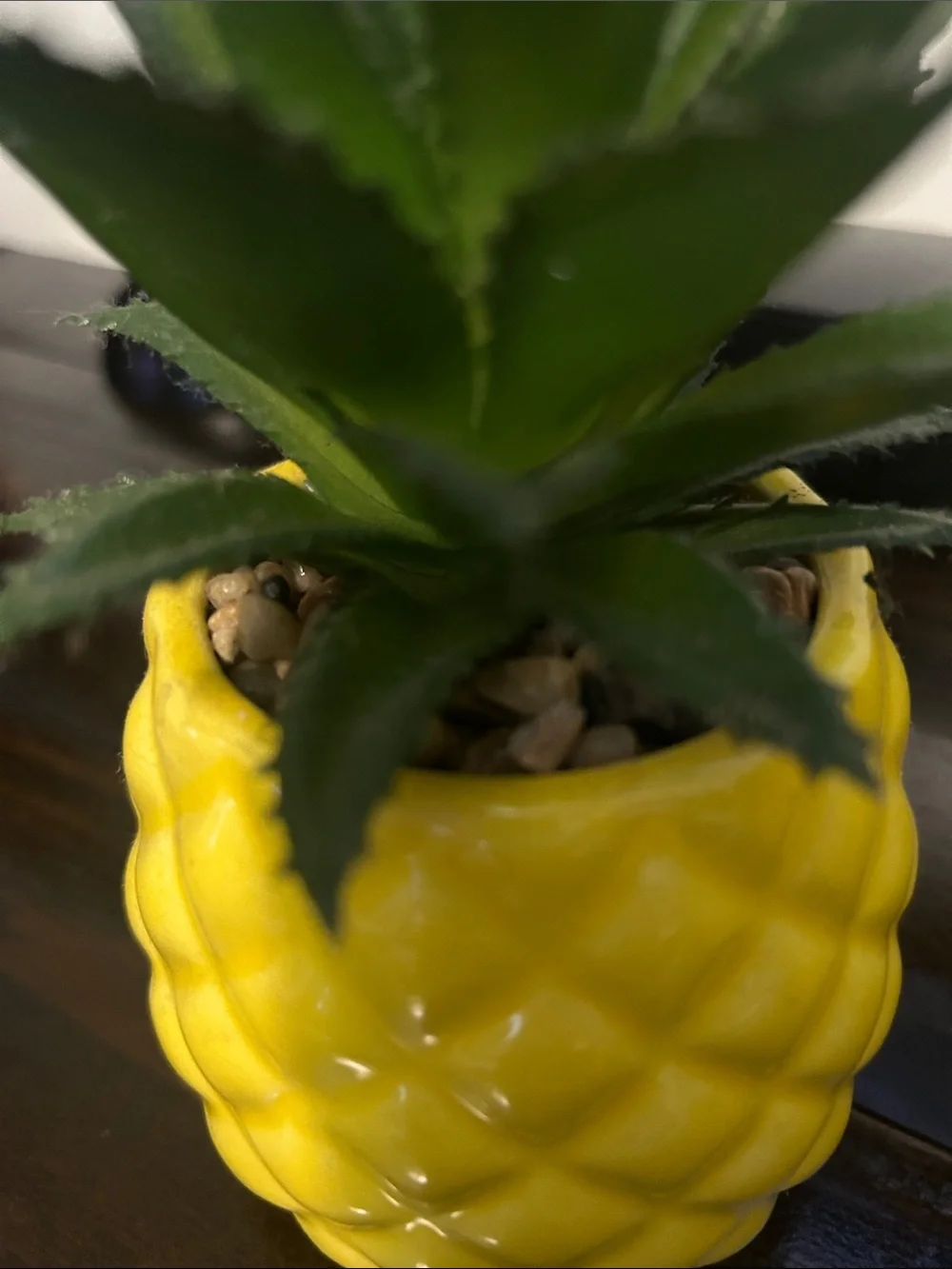 Yellow Pineapple Ceramic Planter Pair - Picture 4 of 4